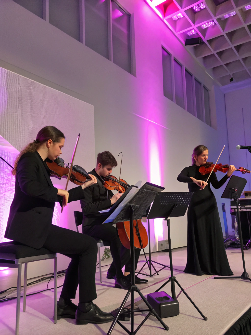 Close up of a string quartet performing